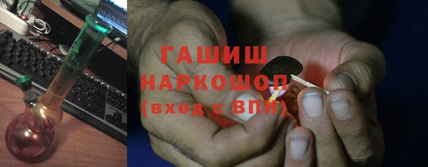 хмурый Арсеньев