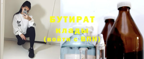хмурый Арсеньев