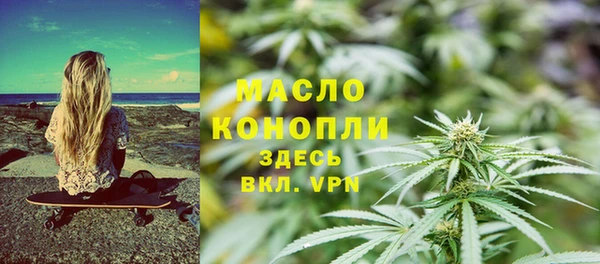 хмурый Арсеньев
