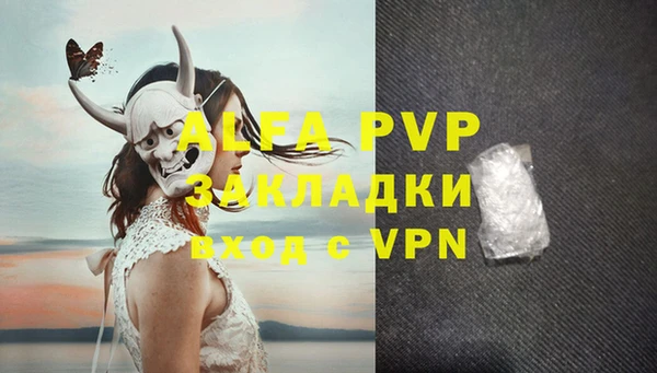 хмурый Арсеньев