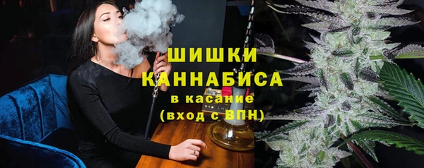 хмурый Арсеньев
