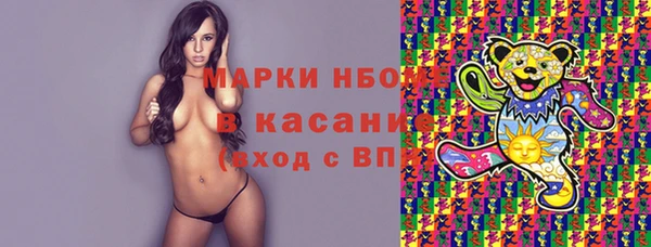 хмурый Арсеньев