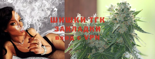 хмурый Арсеньев