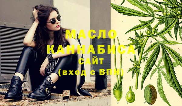 хмурый Арсеньев