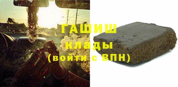 хмурый Арсеньев