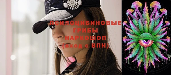 хмурый Арсеньев