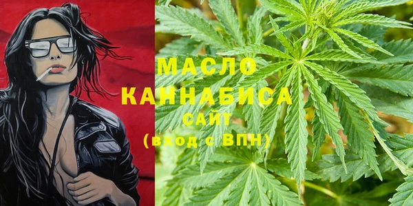 хмурый Арсеньев