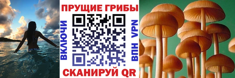 Галлюциногенные грибы мицелий  Льгов 